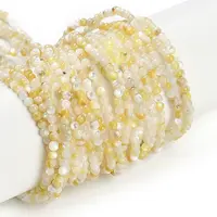 Natural Trochus Shell Beads Strands