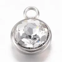 304 Stainless Steel Glass Rhinestone Charms