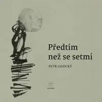 Předtím než se setmí - Petr Ligocký