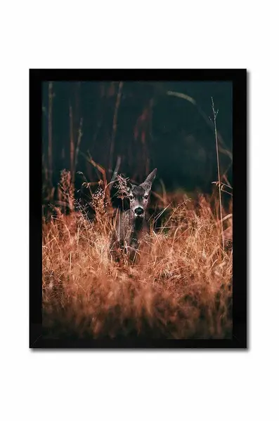 Reprodukcia na plátne v ráme autor neznámy