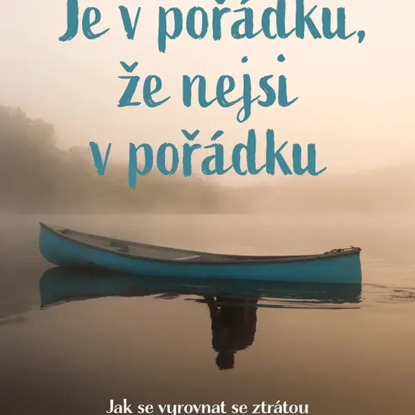 Kniha: Je v pořádku, že nejsi v pořádku od Devine Megan