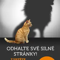 E-kniha: Odhalte své silné stránky! od Hofert Svenja