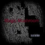 Magic mushroom – scar in time