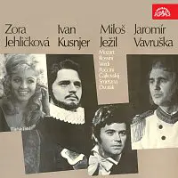 Různí interpreti – Operní árie