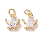 Brass Micro Pave Clear Cubic Zirconia Charms