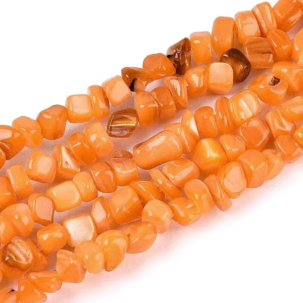 Natural Freshwater Shell Beads Strands
