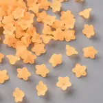 Transparent Acrylic Beads