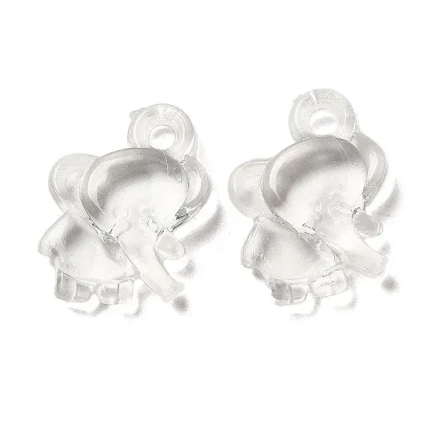 Transparent Acrylic Pendants