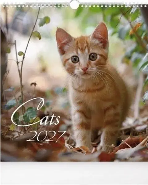 Kalendář 2027 nástěnný malý Kočky