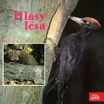 Zvukové efekty – Hlasy lesa