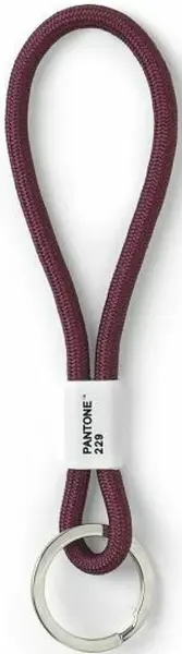 PANTONE Poutko na klíče S - Aubergine 229