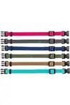 Obojek nylon pro štěňata rozlišovací malina-tyrkys S-M 6ks Tr