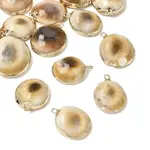 Brass & Natural Shell Pendants