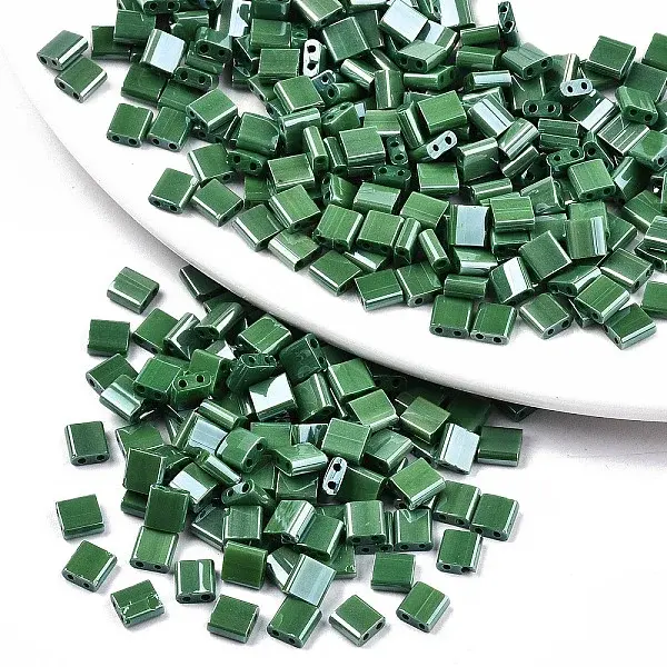FGB 2-Hole Glass Seed Beads
