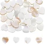 2 Strands Natural Freshwater Shell Beads Strands