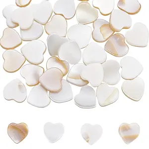 2 Strands Natural Freshwater Shell Beads Strands