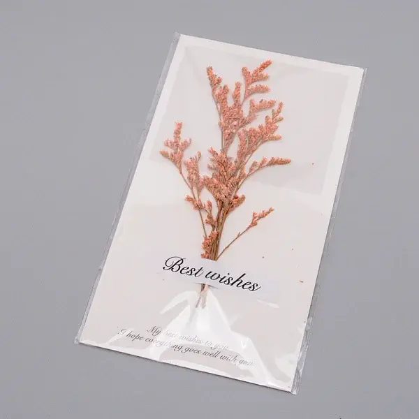Paper Cards