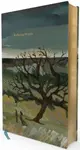 Wuthering Heights: Deluxe Painted Edition - Emily Brontëová