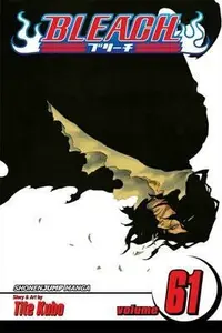 Bleach 61 (anglicky) - Tite Kubo