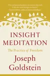 Insight Meditation - Joseph Goldstein
