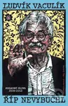 Říp nevybuchl - Ludvík Vaculík - kniha z kategorie Společenská beletrie
