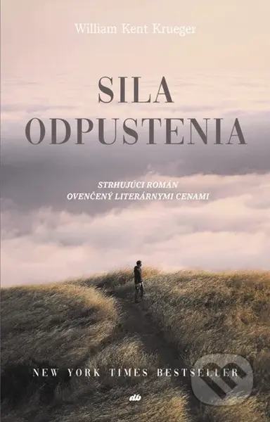 Sila odpustenia (Strhujúci román ovenčený literárnymi cenami) - kniha z kategorie Beletrie