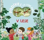 V lese - Co jsme našli