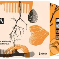 Ke dnu (audiokniha) - Anna Bolavá - audiokniha z kategorie Beletrie