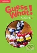 Guess What! Level 3 Flashcards - kniha z kategorie Jazykové učebnice a slovníky