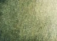 Akvarelová barva DS 5ml – 109 Undersea Green