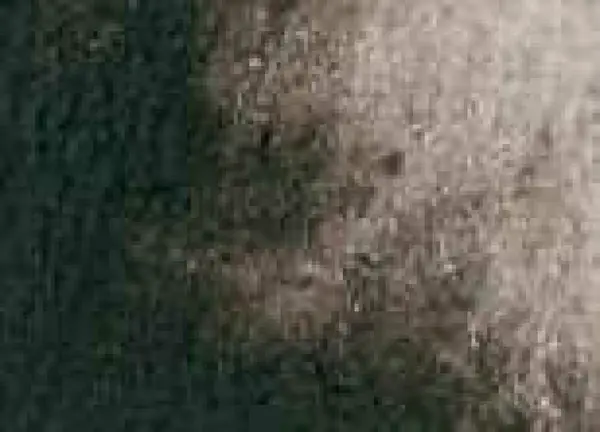 Akvarelová barva DS 5ml – 110 van Dyck Brown