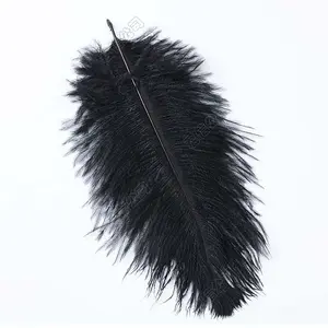 Ostrich Feather Costume Accessories