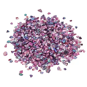 1 Bags Abalone Shell Flakes Cabochons