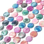 Natural Freshwater Shell Beads Strands