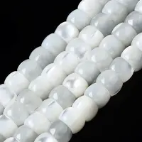 Natural Trochid Shell/Trochus Shell Beads Strands