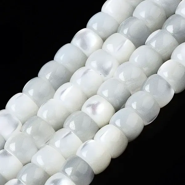 Natural Trochid Shell/Trochus Shell Beads Strands
