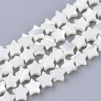 Natural Trochid Shell/Trochus Shell Beads Strands