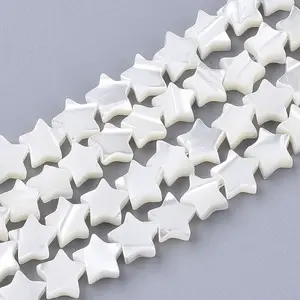Natural Trochid Shell/Trochus Shell Beads Strands