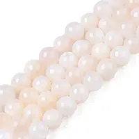 Natural Freshwater Shell Beads Strands