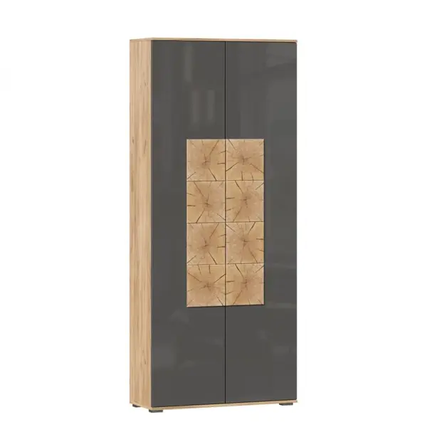 Předsíňová skříň markus 2d - šedý lesk/dub zlatý