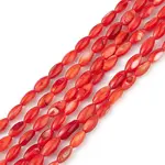 Natural Freshwater Shell Dyed Beads Strands