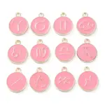 Alloy Enamel Pendants