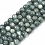 Natural Freshwater Shell Beads Strands