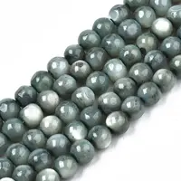 Natural Freshwater Shell Beads Strands