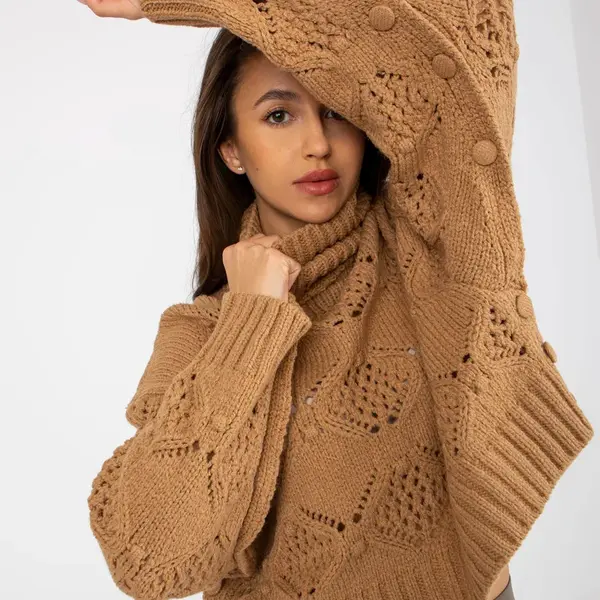 Sweater-EM-SW-1037-01.24X-camel