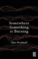 Somewhere Something is Burning - Alice Frecknall