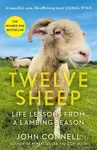 Twelve Sheep - John Connell