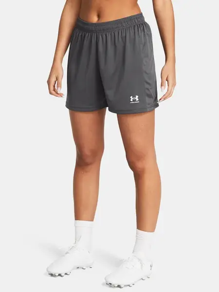 Dámské kraťasy Under Armour UA W's Ch. Knit Short-GRY - Dámské