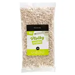 HEALTH LINK Ovsené vločky bezlepkové BIO 500 g