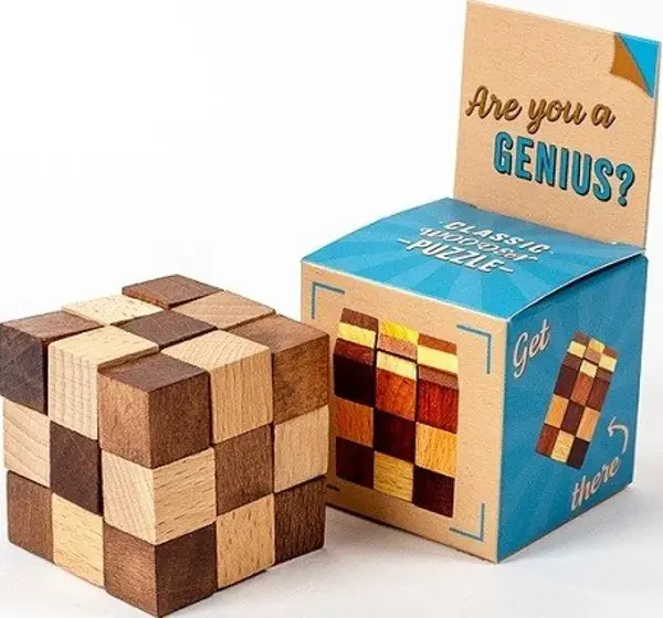 RECENTTOYS Are you a Genius